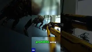 Spot Robot: Battlefield's Future? Military Robot's Secrets