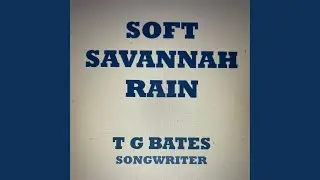 Soft Savannah Rain (Singer Songwriter)