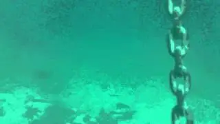 coming up the anchor NINE DIVES viz indicator Picton.AVI