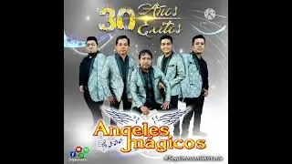 Rosa Frágil - Angeles Magicos