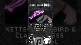 Free Music: Nettson, RedBird & Clara Ayless - For Real (Official)
