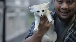 Kyubi!! Rubah Imut yang Punya Pendengaran Baik - Teman Panji