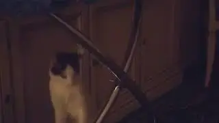 Крис-Ром