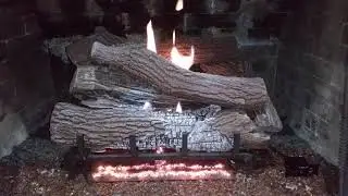 Superior Giant Timber Vent Free Log Set