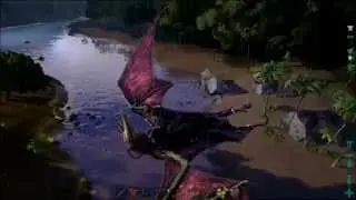 Ark Dimorphodon more like MINI DRAGON