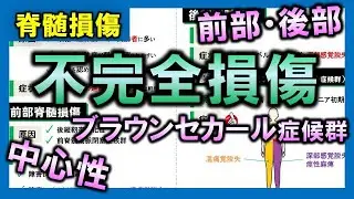 【脊髄損傷⑤】不完全損傷の特殊型（中心性脊髄損傷・ブラウンセカール症候群など）【理学療法士・作業療法士】