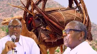 Sheeko suugaaneed Dhaqanyahan Idaajaa