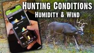 Hunting Conditions - Humidity and Wind