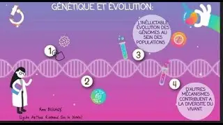 &Eacute;volution g&eacute;n&eacute;tique et h&eacute;r&eacute;dit&eacute; cellulaire  Partie  4