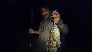 Kripals Magic | Grouper Fishing | Hamour Fishing | Hamoor | Karup Fishing Kerala | Kerala Fishing