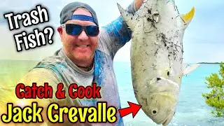 Jack Crevalle TRASH FISH Catch & Cook - HILARIOUS!!