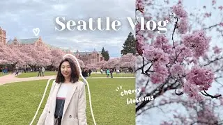 seattle vlog｜回西雅圖華盛頓大學看櫻花🌸 重返最美的校園☀️｜university of washington cherry blossoms