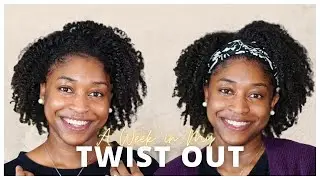 Quick and Lazy Twist Out | A Week of Effortless Styles for Work/School