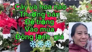 Canada mùa đông bán cây và hoa nào ?
