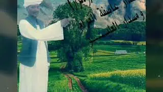 الشاعر رشاد محمود كرار