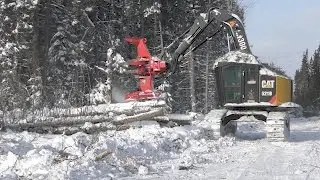 Cat 521B Feller Buncher in Togo, Mn