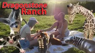 Meeting the Animals of DRAGONSTONE RANCH!