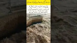 Flood Emergency in River Sutlej | High Alert Issued 🚨