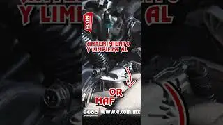 LIMPIEZA DEL SENSOR MAF CON ECO-110  ECOM &reg;