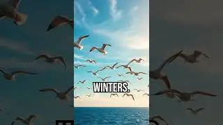 Discover the mystery of bird migration! #BirdMigration #NatureWonders