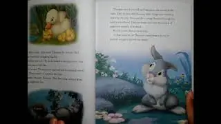 Bunnies Nighttime Adventure (Narrated)