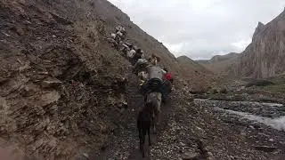 Black yak expeditions Marka Valley trek  towards to Kang-yetse expedition