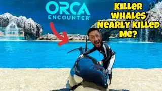 (Killer Whale) Almost Killed Me at Sea World, San Diego (While Petting Orca-Killer Whale)EPIC(SHOW)