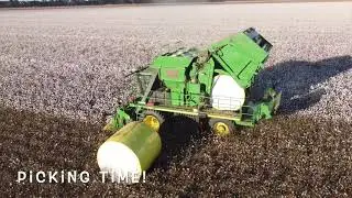 Cotton 2021 - Plant to Pick with Saunders Farming
