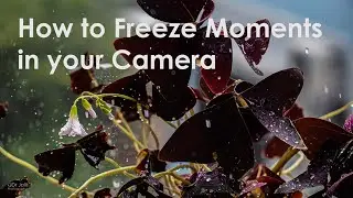 How to Freeze Moments in your Camera    Sony RX100M7 4k