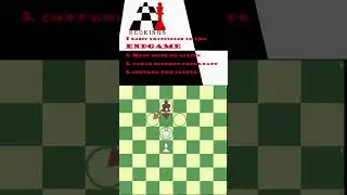 what do you do in Endgame? Chess Lessons EP. 5 Simple Pawn Ending Idea #shorts