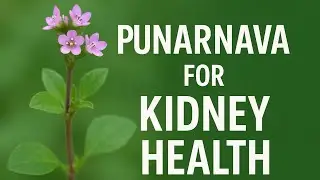 &ldquo;Punarnava Explained : Kidney, Liver & Immunity Support Naturally&rdquo;