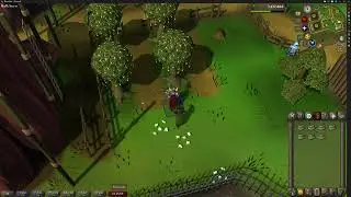 OSRS Vibe