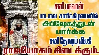 சனிக்கிழமை திருநள்ளார் சனி பகவான்  பாடலை அபிஷேகத்துடன்   கேட்க சங்கடங்கள் அனைத்தும் தீரும்