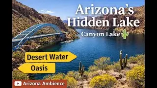 Hidden Arizona Desert Lake 🌵 Canyon Bridge Over Calm Blue Water | Ambience