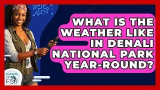 What Is The Weather Like In Denali National Park Year-round? - Chasing Big Fish