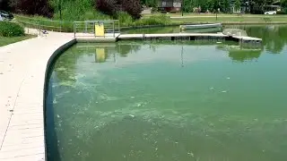 Sloan&rsquo;s Lake closed until further notice due to potentially deadly blue-green algae