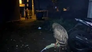 Buffy fish owl 
