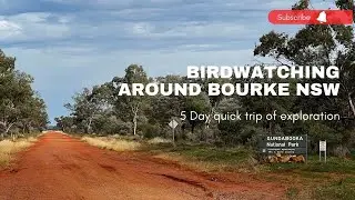 BOURKE OUTBACK NSW (5 day Birdwatching trip)  - Gundabooka N.P