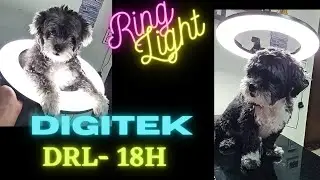 DIGITEK 18 Inch Ring Light DRL18H - review after 30 days, Best Professional ring light.