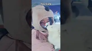 Fox Core#fox #foxes  #fyp #foryoupage #funny #funnyvideo