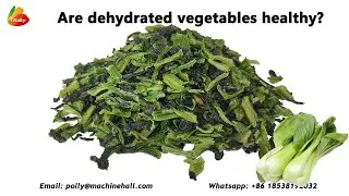 Dehydrated Vegetables Factory