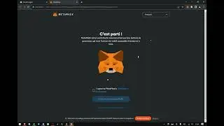 Connecter sa LEDGER &agrave; Metamask (Tuto)