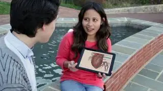 Visible Body | Bring 3D Anatomy Visuals to Your Library
