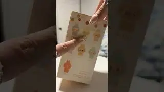I bought a FAKE labubu again | #labubu #labubuunboxing #unboxing