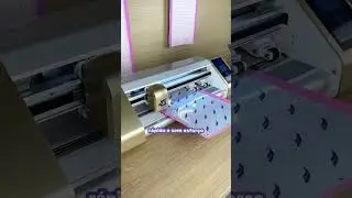 ✨ Sim, ela l&ecirc; as marcas de registro at&eacute; no vinil hologr&aacute;fico!