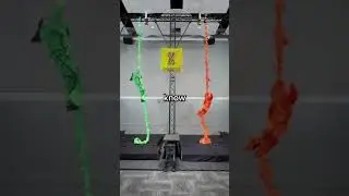 Could You Win This Obstacle Course？