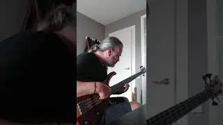 un poquito por Tangos 🎶💃Pedrito Mart&iacute;nez electric bass flamenco.