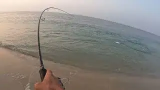 Light shore jigging for queen fish 101025