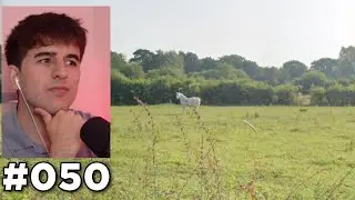 caballo