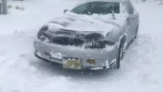 Cavalier Snow Drifts!!